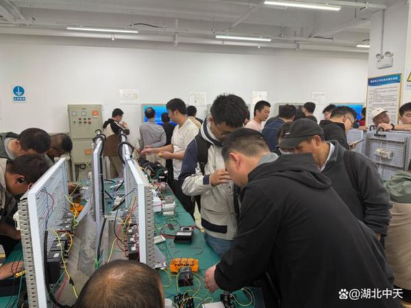 低压电工考证能个人报考吗？今年可以异地报名嘛✅