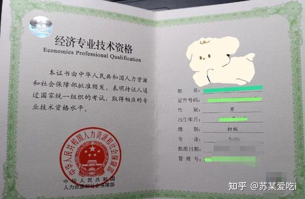 初级经济师到底好不好考？专业怎么选？🤔