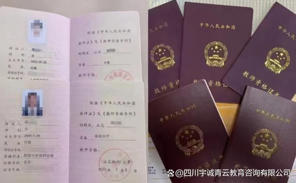 在校生考教资，这些限制你碰过没😱？